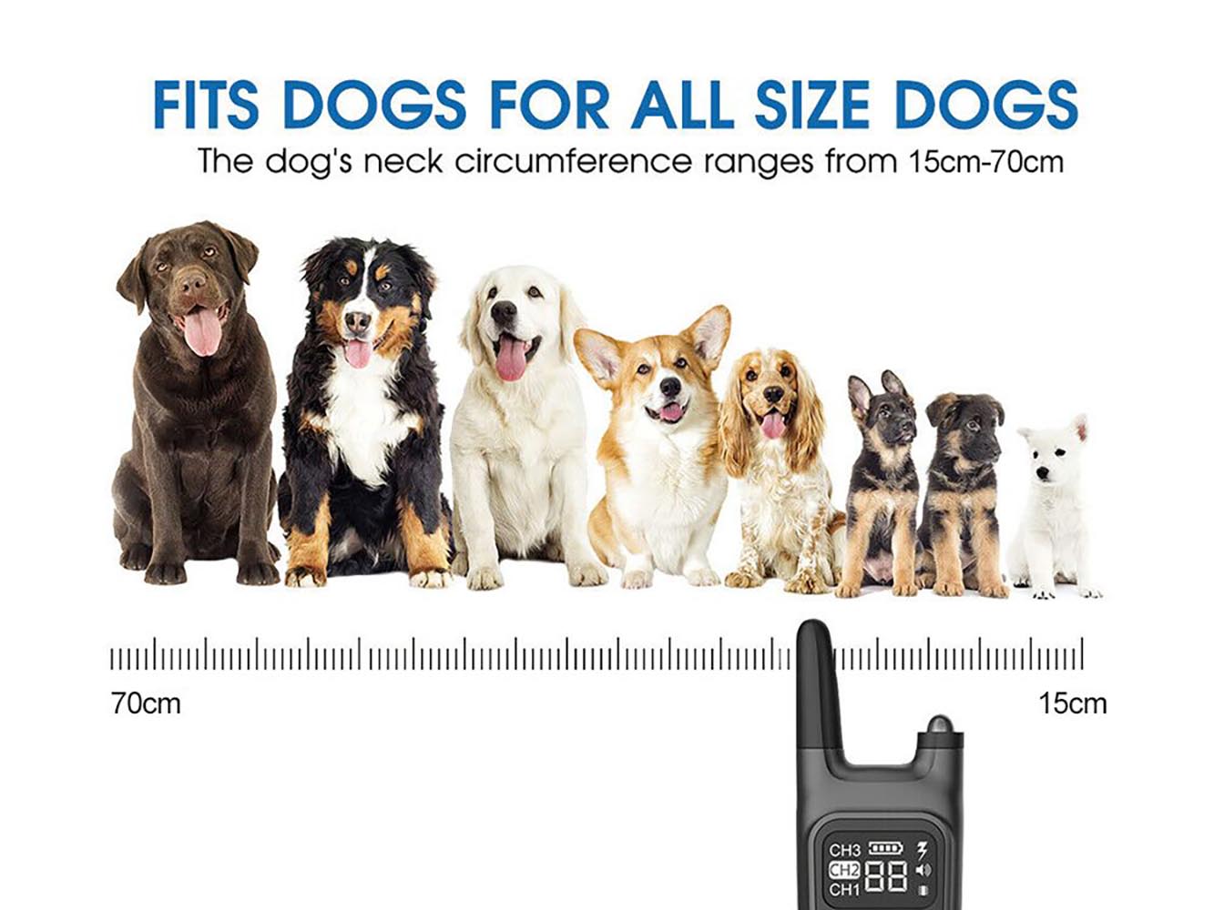 Rechargeable Dog Training Collar