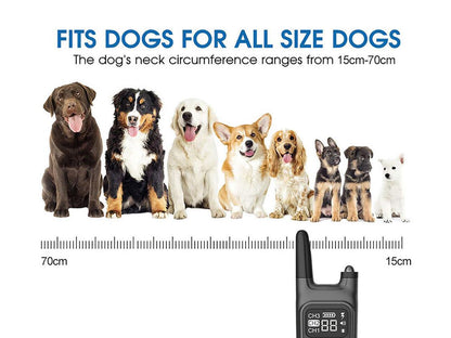 Rechargeable Dog Training Collar