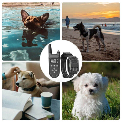 Dog Training Collar 800M
