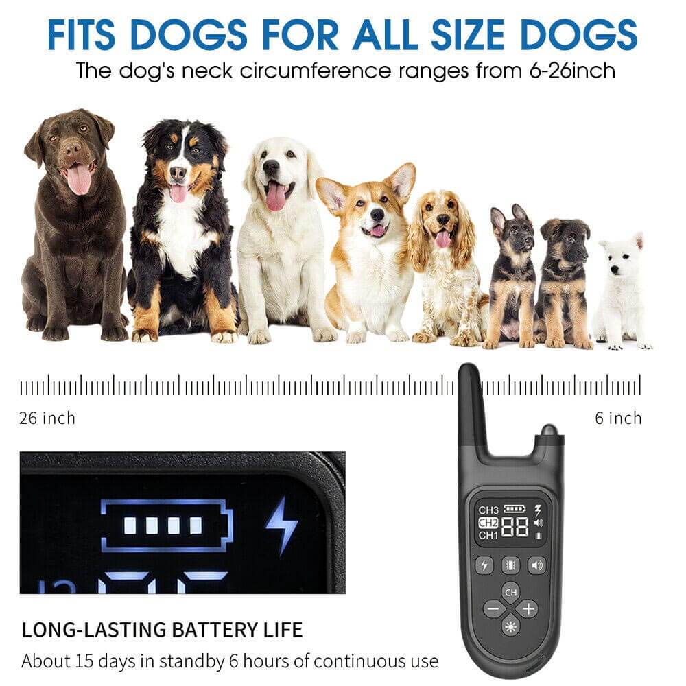 Dog Training Collar 800M