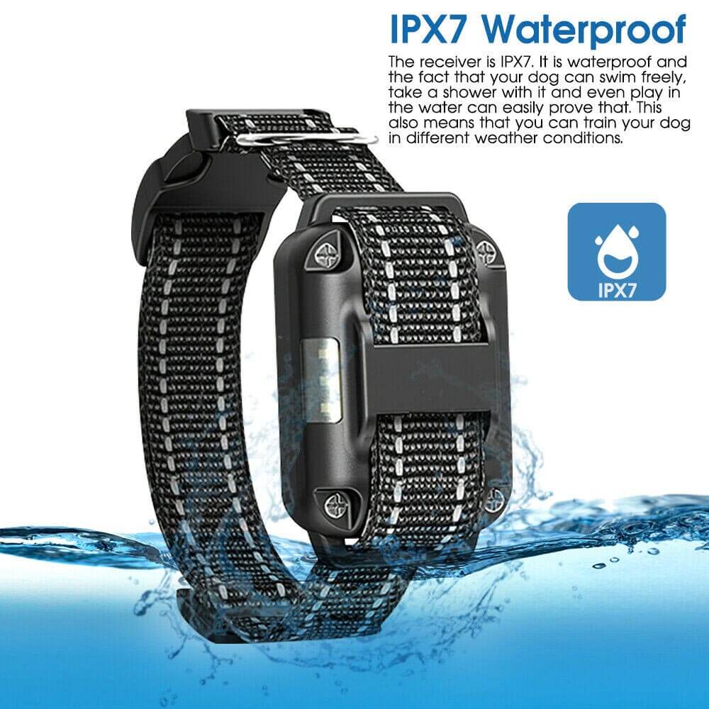 Dog Training Collar 800M