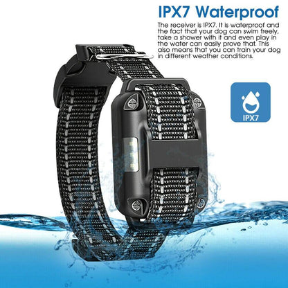 Dog Training Collar 800M