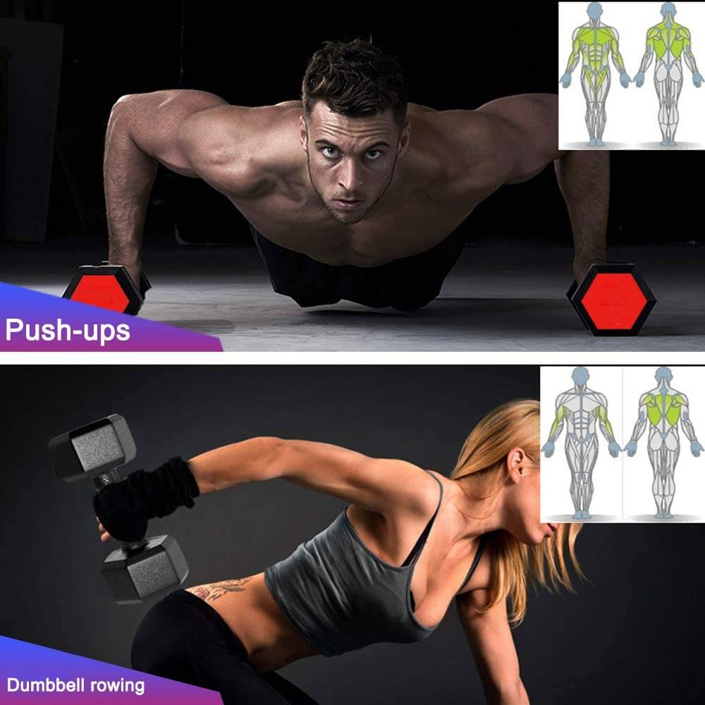 Dumbells Sport Hexagon Dumbbells Set Home Gym Fitness Hexagon - The Shopsite