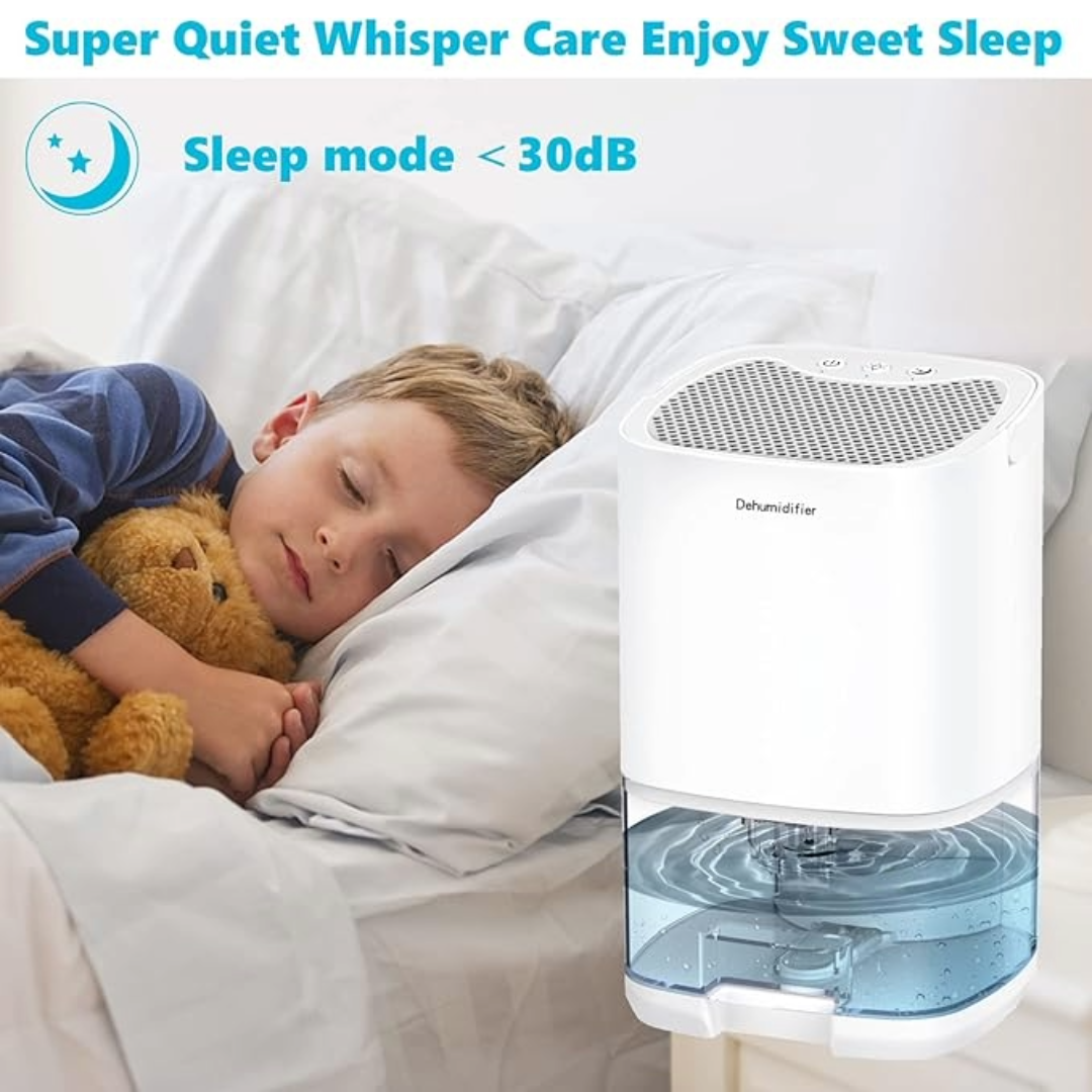 Mini Dehumidifier 1000mL Portable
