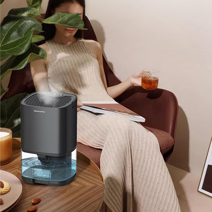 Mini Dehumidifier 1000mL Portable Black
