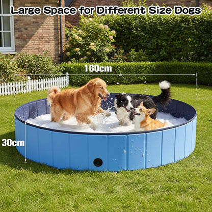 Dog Pet Swimming Pool