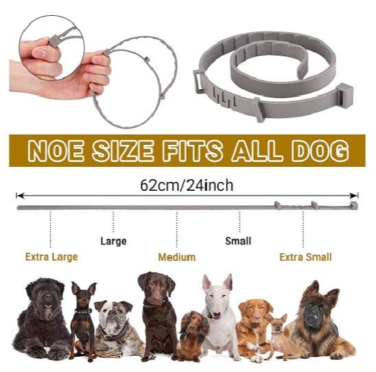 Flea and Tick Collar