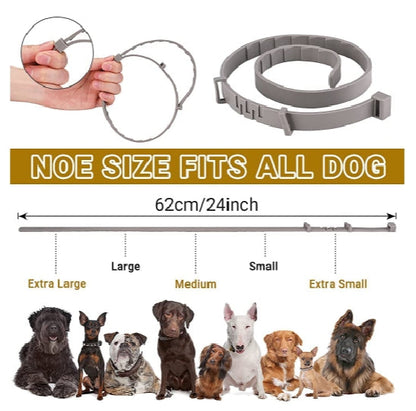 Flea and Tick Collar