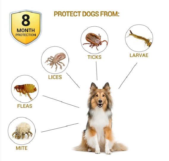 Flea and Tick Collar
