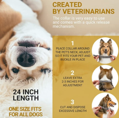 Flea and Tick Collar