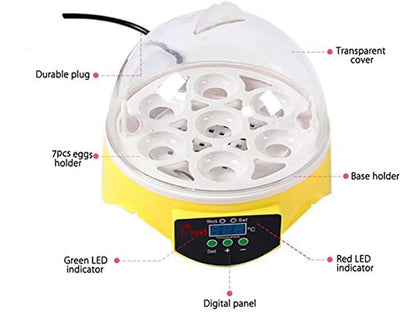 Incubator ready for egg hatching
