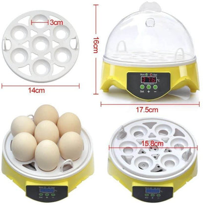 Egg incubator transparent window