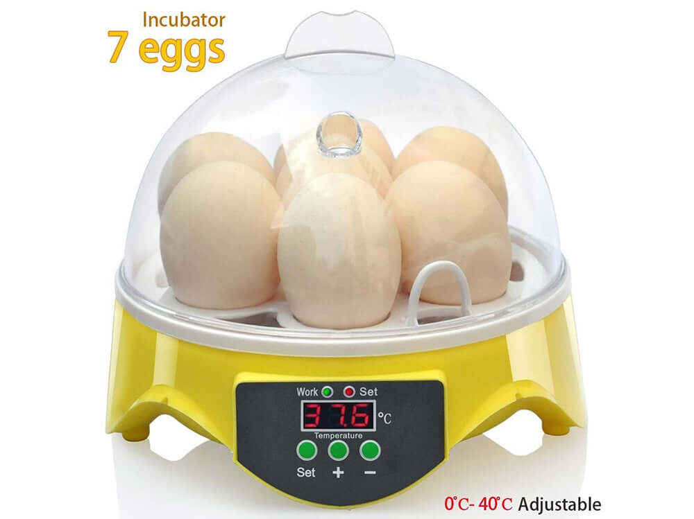 Incubator temperature control panel