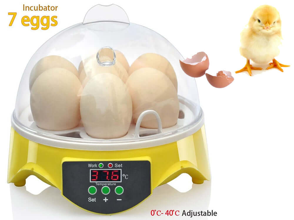 Incubator with water pan inside