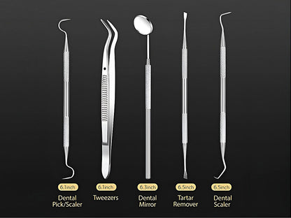 Essential Dental Hygiene Tool Kit 5pc