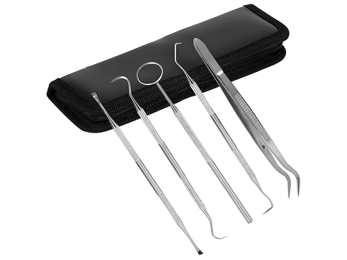 Essential Dental Hygiene Tool Kit 5pc