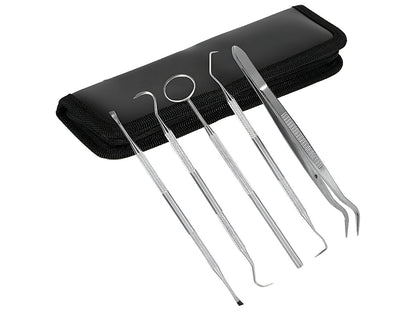 Essential Dental Hygiene Tool Kit 5pc