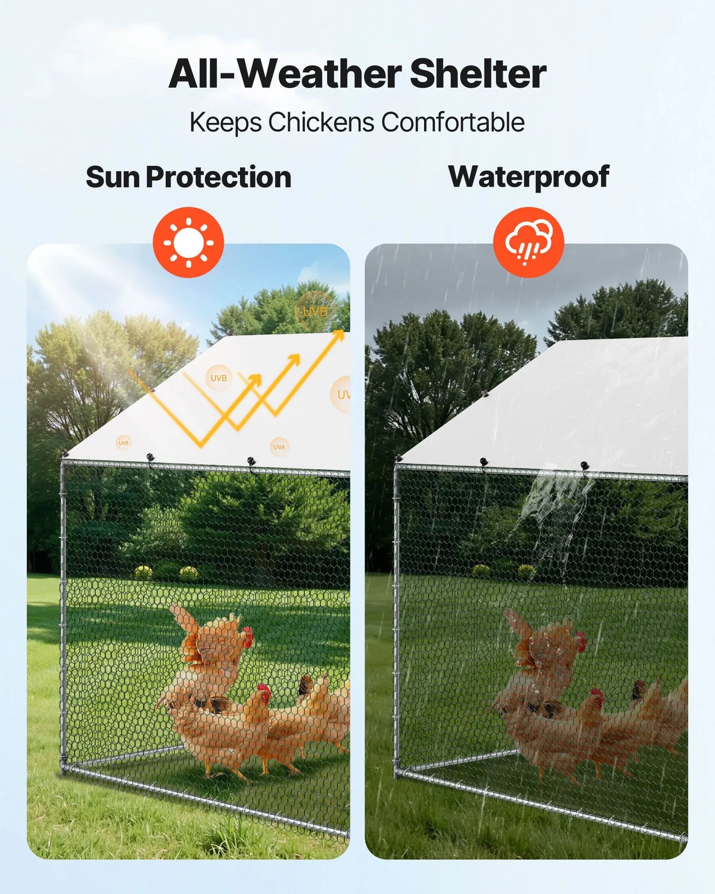 Outdoor Chicken Coop