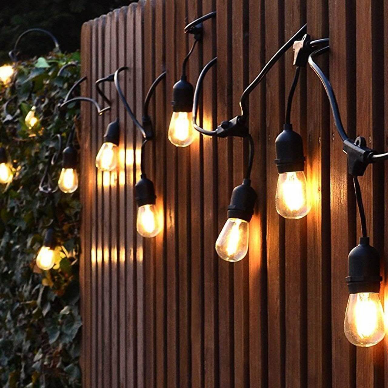 Festoon lights hanging