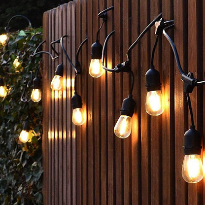 Festoon lights hanging