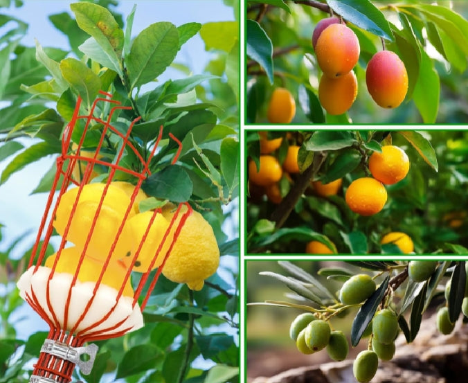 Fruit Picker Fruit Picker Pole with Basket Extendable Long Handle