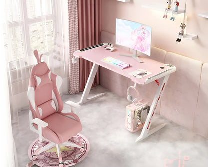 Computer Desk