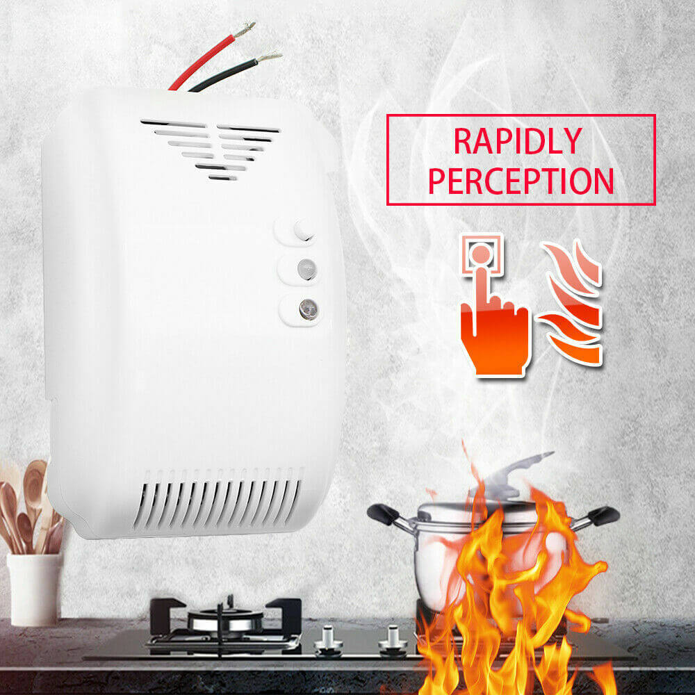 Gas detector buzzer speaker
