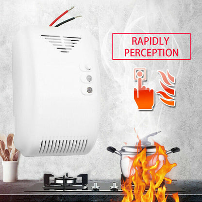 Gas detector buzzer speaker