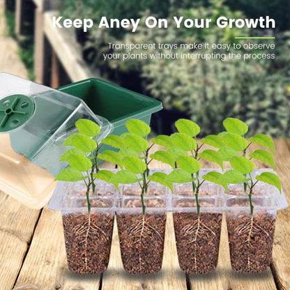 Greenhouse With Seed Tray Green