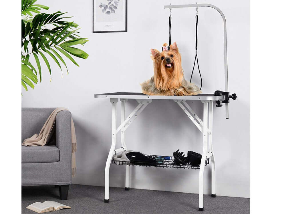 Portable pet grooming table