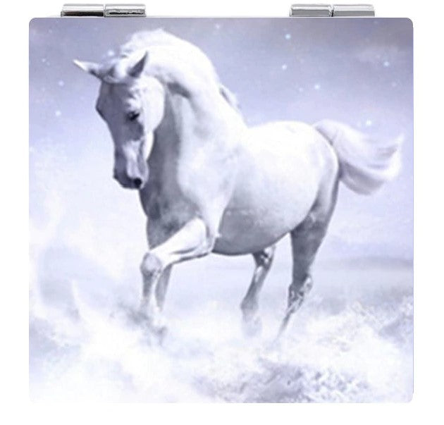Pocket Mirror case