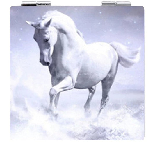 Pocket Mirror case