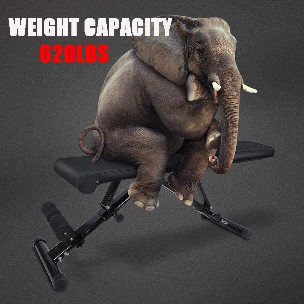 Adjustable Weight Bench