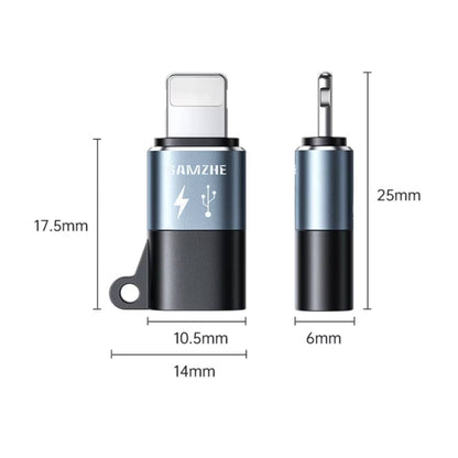 USB-C Female to Lightning Male Converter OTG Adapter