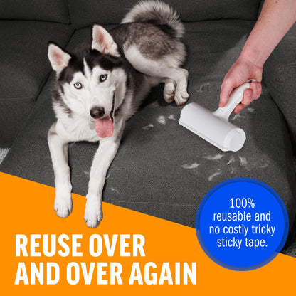 Washable pet hair brush