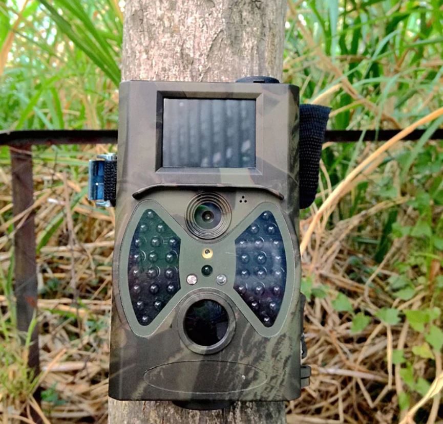 1080P HD hunting camera