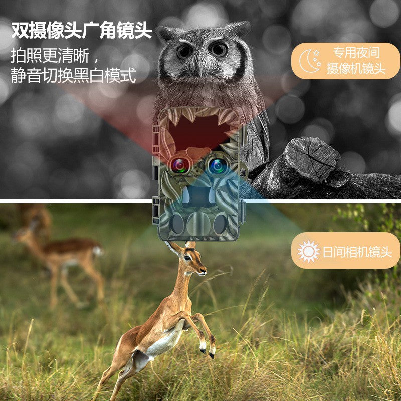 Trail camera color screen