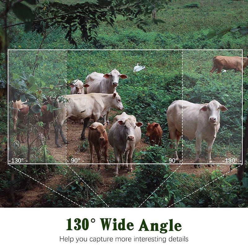 Hunting camera with mounts