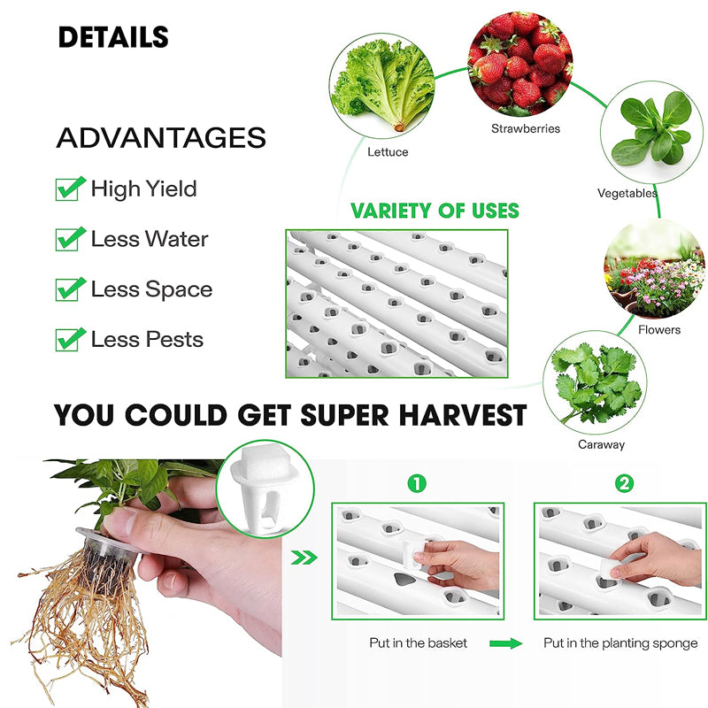 Hydroponic shelf with plants