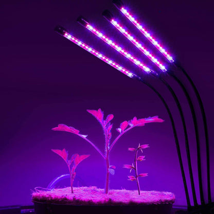 Four Head LED Plant Grow Light Indoor Lamp For Fruit Veg Flowers