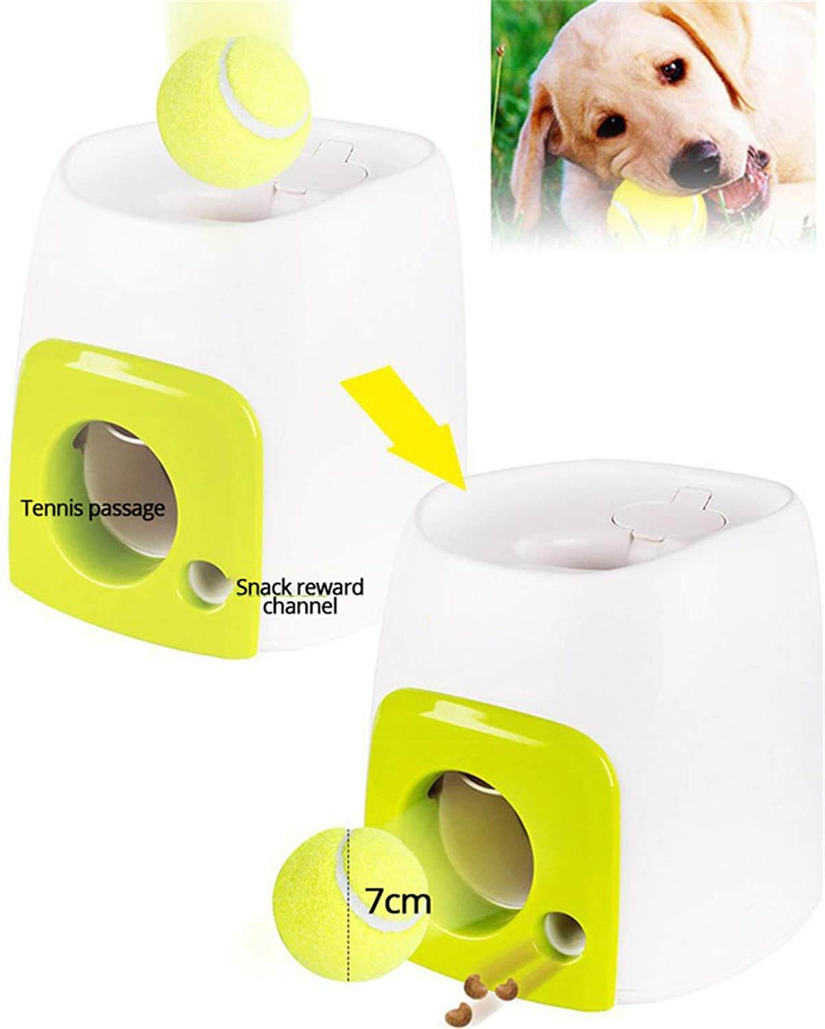Creative Dog Pet Toys Tennis - The Shopsite