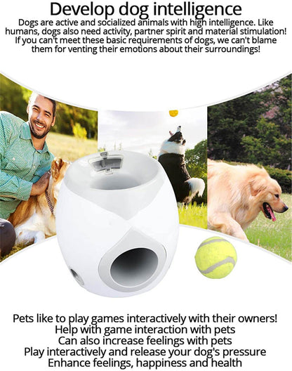 Creative Dog Pet Toys Tennis