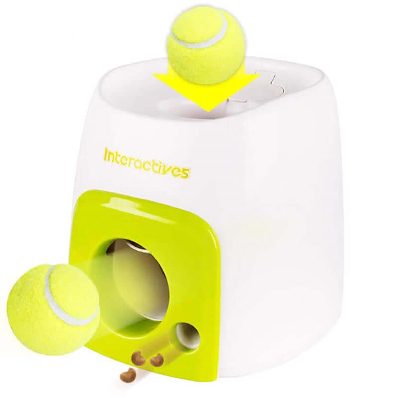 Creative Dog Pet Toys Tennis - The Shopsite