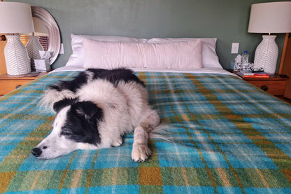 Wisewool™ Body Pillows