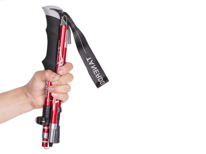 Portable 5-Section Hiking Sticks -Red/110CM