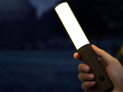 LED Motion Sensor Night Light