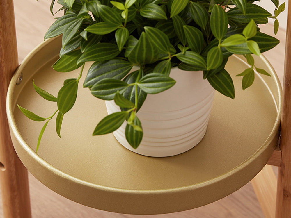 2 Tier Clamping Plants Stand/Display Rack-Natural