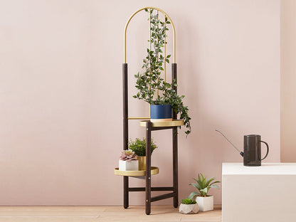 2 Tier Clamping Plants Stand/Display Rack-Dark Walnut