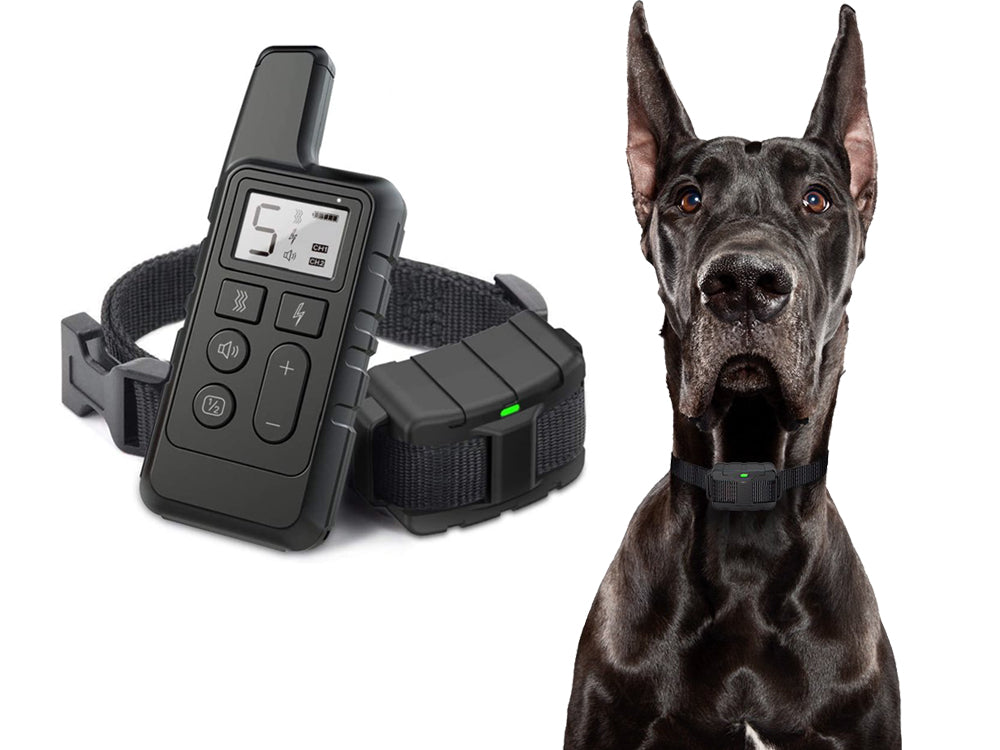 Remote Dog Training Collar-2 dogs
