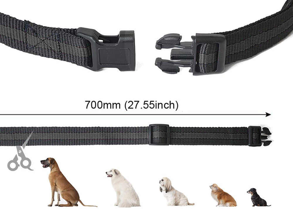 Remote Dog Training Collar-2 dogs